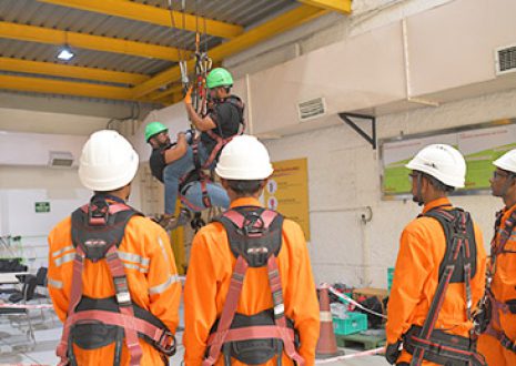 training consultancy img 01